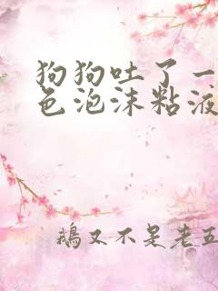 狗狗吐了一滩白色泡沫粘液还拉稀