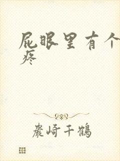 屁眼里有个疙瘩疼