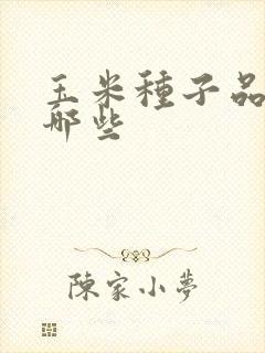 玉米种子品种有哪些