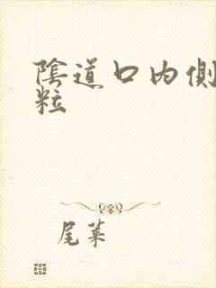 阴道口内侧有肉粒