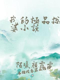 我的极品总裁老婆小说