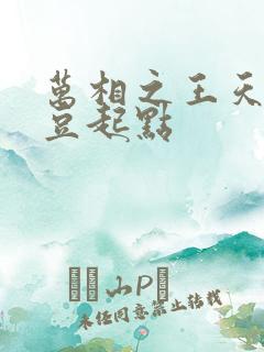 万相之王天蚕土豆起点