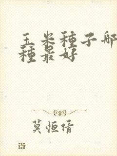 玉米种子哪个品种最好