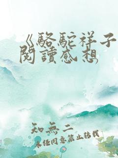 《骆驼祥子》的阅读感想