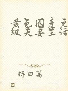 黄色国产免费一级夫妻生活片