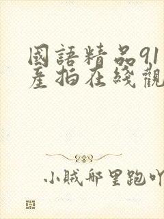 国语精品91自产拍在线观看一区