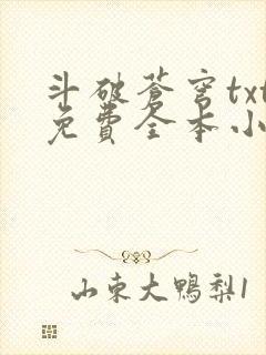 斗破苍穹txt免费全本小说