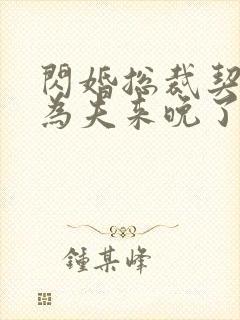 闪婚总裁契约妻为夫来晚了