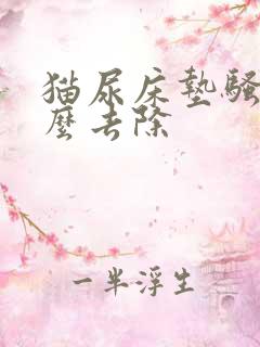 猫尿床垫骚味怎么去除