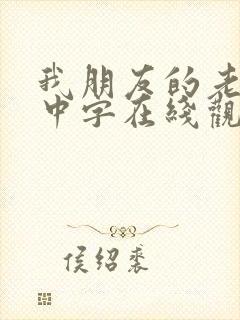 我朋友的老婆3中字在线观看