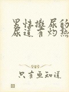 男性撒尿的时候尿道有灼热感挂什么科