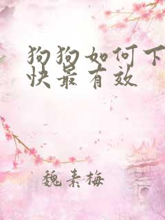 狗狗如何下奶最快最有效