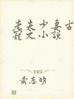 老夫少妻古言甜宠文小说