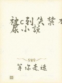 被c到失禁不给尿小说