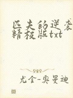 匹夫的逆袭完整精校版txt