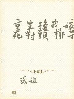 重生后我嫁给了死对头 椰子絮