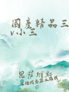 国产精品三级av小三