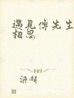 遇见傅先生无尽相思