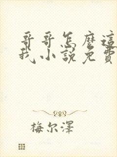 哥哥怎么这样看我小说免费阅读无弹窗