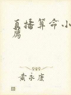 直播算命小说推荐