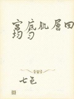 宫底肌层回声不均匀