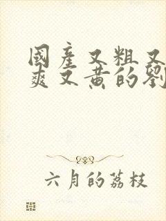 国产又粗又猛又爽又黄的刘涛视频