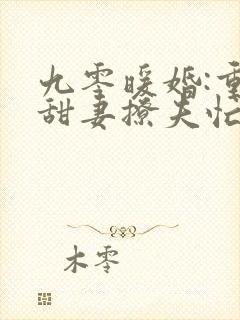 九零暖婚:重生甜妻撩夫忙正版