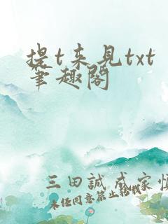 提t来见txt笔趣阁