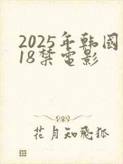 2025年韩国18禁电影