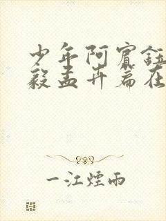 少年阿宾钰慧小毅孟卉篇在线阅读