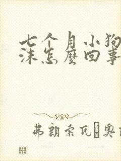 七个月小狗吐白沫怎么回事