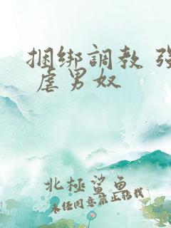 捆绑调教 强制 虐男奴