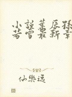 小说叶辰孙怡夏若雪最新章节