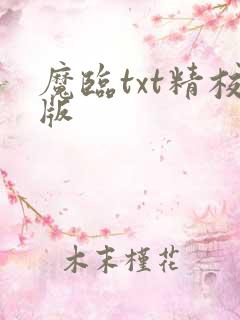 魔临txt精校版