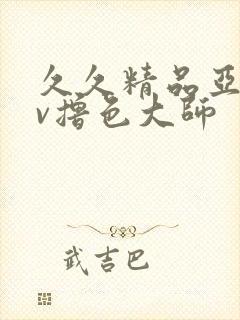 久久精品亚洲av撸色大师