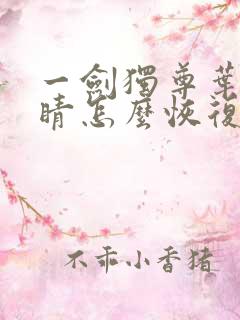 一剑独尊叶玄眼睛怎么恢复的