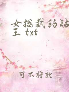 女总裁的贴身兵王 txt