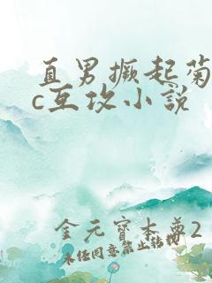 直男撅起菊眼挨c互攻小说