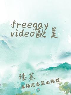 freegayvideo欧美