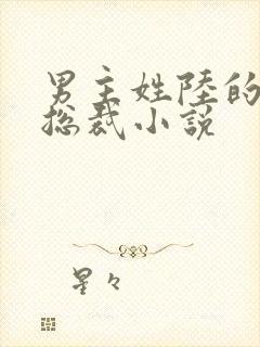 男主姓陆的霸道总裁小说