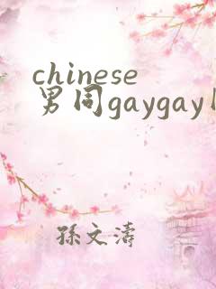 chinese男同gaygay网站