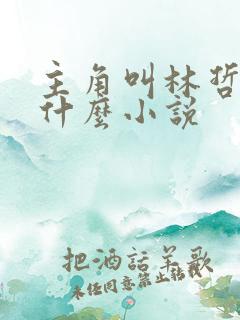 主角叫林哲的是什么小说