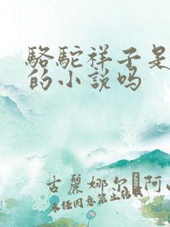 骆驼祥子是老舍的小说吗