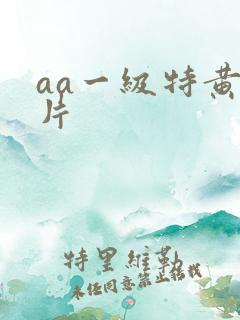 aa一级特黄大片