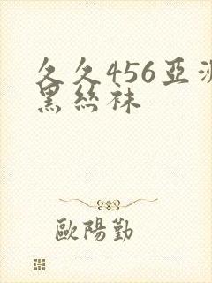 久久456亚洲黑丝袜