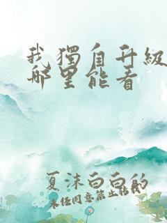 我独自升级动漫哪里能看