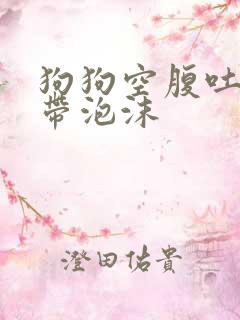 狗狗空腹吐黄水带泡沫