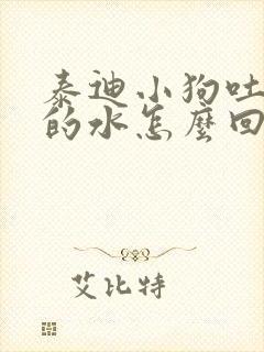 泰迪小狗吐黄色的水怎么回事