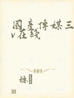 国产传媒三级av在线