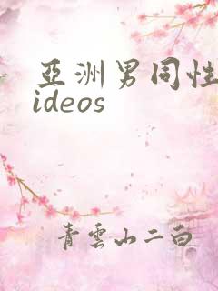 亚洲男同性恋videos